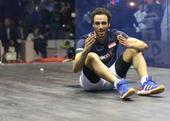 Ramy Ashour calls an end to his professional career